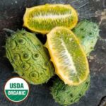 Jelly Melon Cucumber