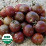 Black Cherry Tomato