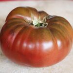 Cherokee Purple Tomato