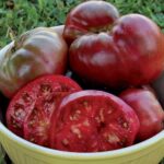 Black Krim Tomato