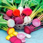 Rainbow Mix Beet