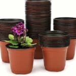 10 plastic plant nursery