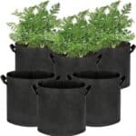 (5 Gallon) grow bag