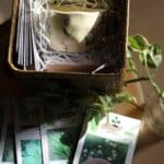 Herb box "gift”