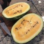Mountain sweet yellow watermelon plant