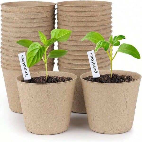 ⁦Recycle paper pot⁩ - الصورة ⁦1⁩